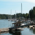 On the government dock in Bamfield