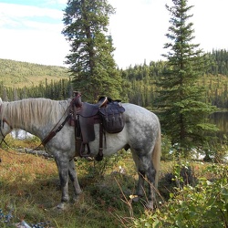 Alaska Horseback Trip 2007
