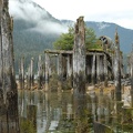 The old cannery ruins at Taku Harbor