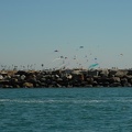 A kite fest leaving Long Beach