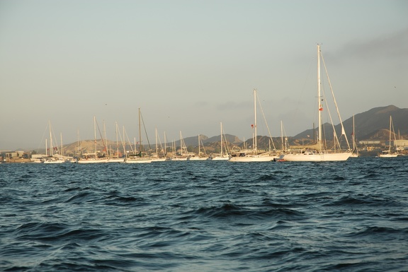 The Haha fleet in Turtle Bay