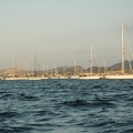 The Haha fleet in Turtle Bay