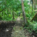 Walking path to Nan Madol site