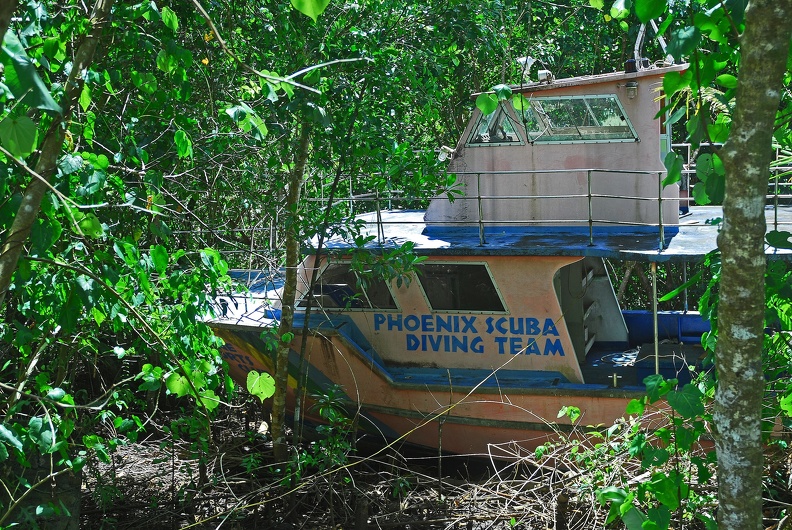 Dive boat tied up in the mangroves.jpg