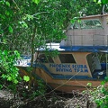 Dive boat tied up in the mangroves