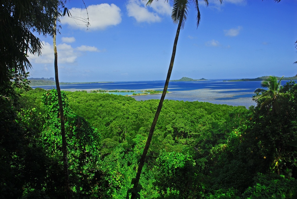Pohnpei lagoon view from up high