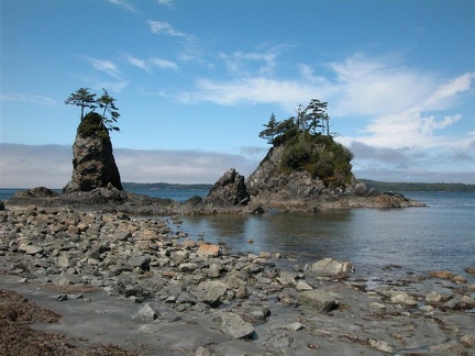 Outcroppings at low tide