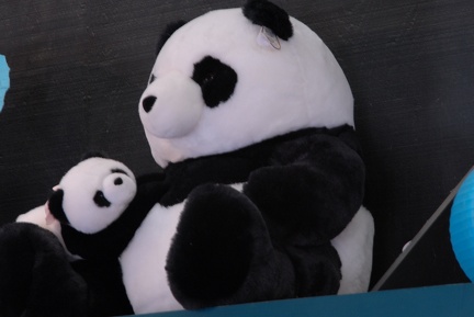 A perfect panda pose in the souvenir shop