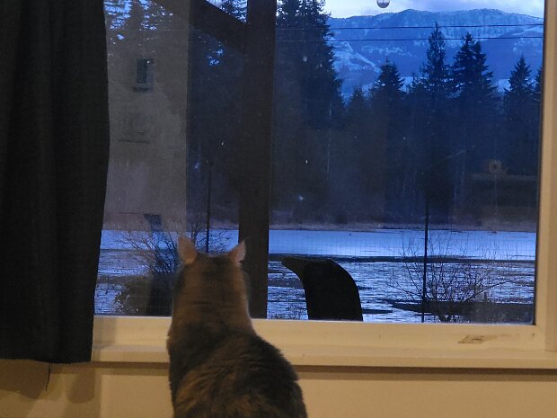 Vancouver Island Birthdays 2025