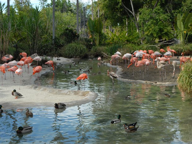 San Diego Zoo