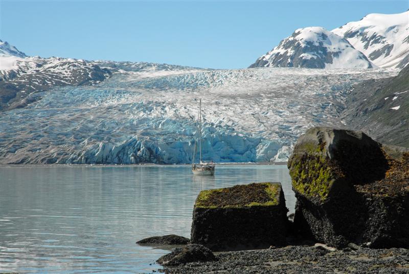 Amazing Glacier Bay