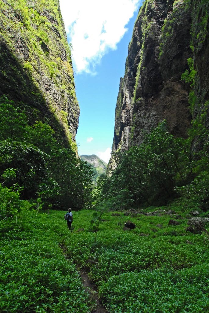 After our swim and picnic lunch this is the trail back out