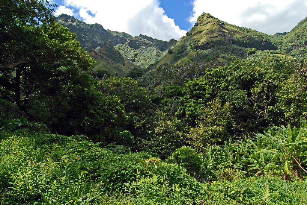 No caption necessary