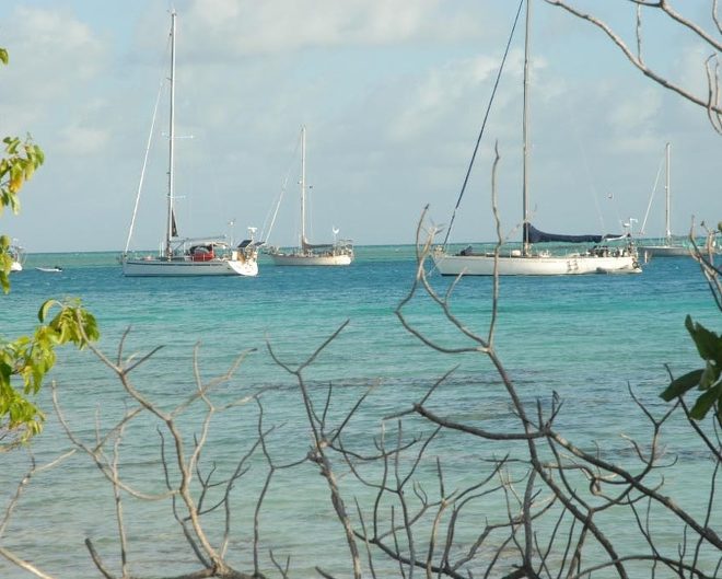 Goodbye To Warrior – But Only For Now