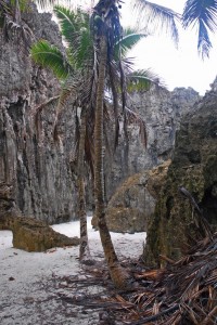 togo chasm togo chasm