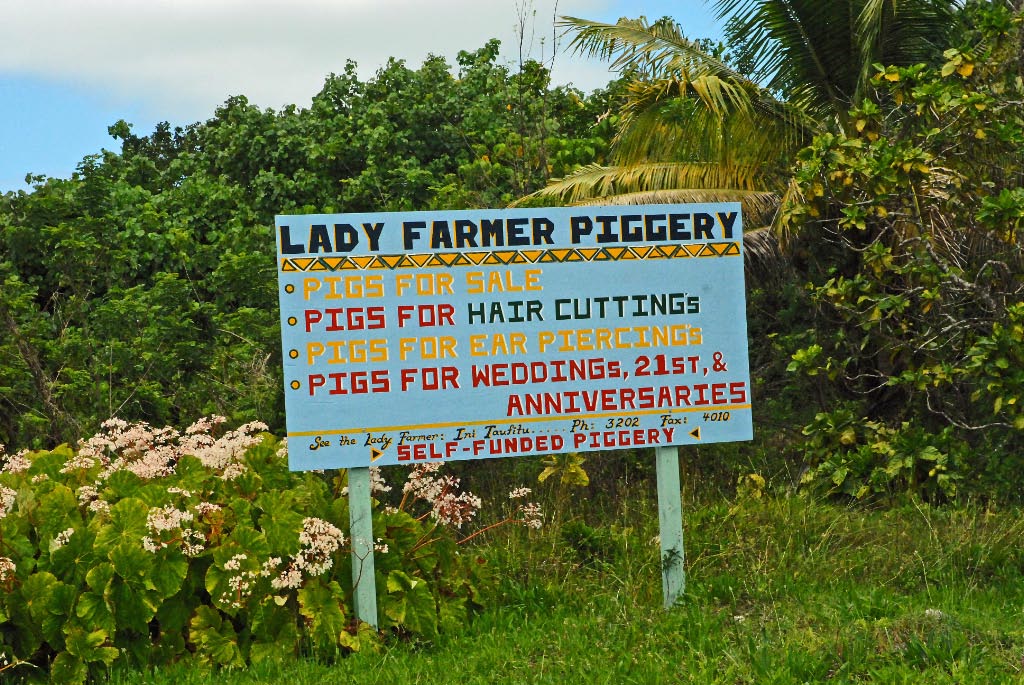 Niue Piggery