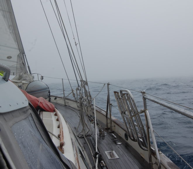 In A Fog, At Least I Think So