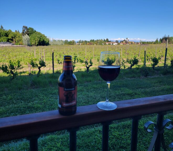 Chile Part II – Wine Country