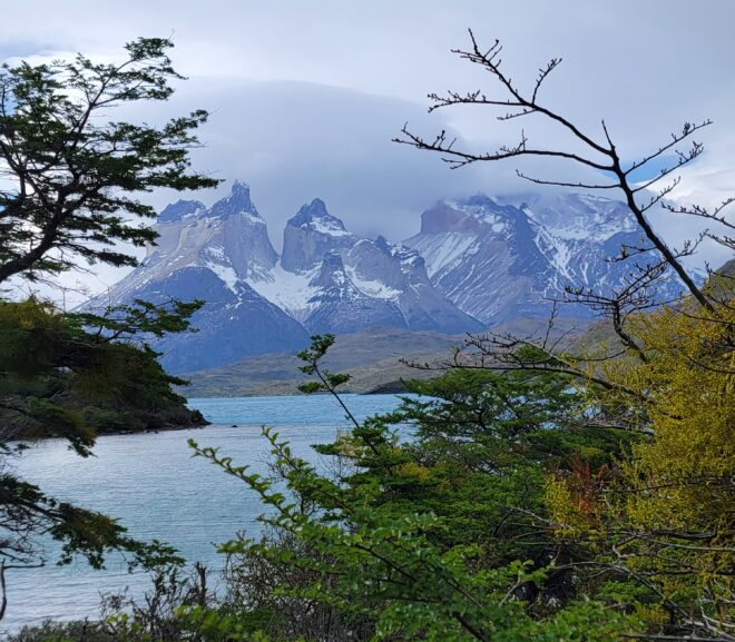 Chile Part VI – Patagonia Cruise Week Two