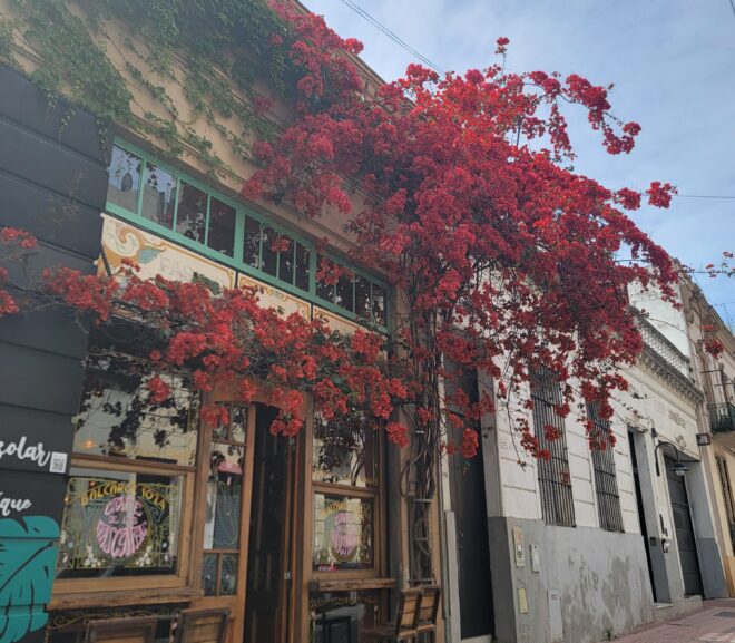 Chile Part VII – Buenos Aires